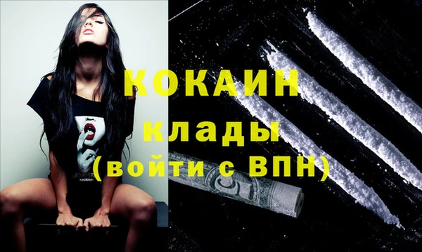 ПСИЛОЦИБИНОВЫЕ ГРИБЫ Вязьма
