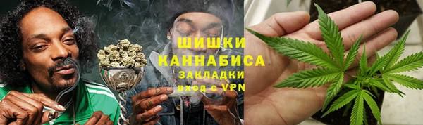 ПСИЛОЦИБИНОВЫЕ ГРИБЫ Вязьма